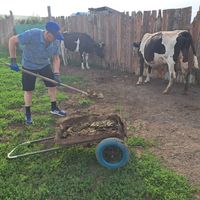 tja, ook poep ruimen hoort bij het leven op de boerderij.